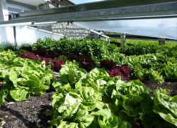 3000 13708148 877132139059289 2293702613760898972 O